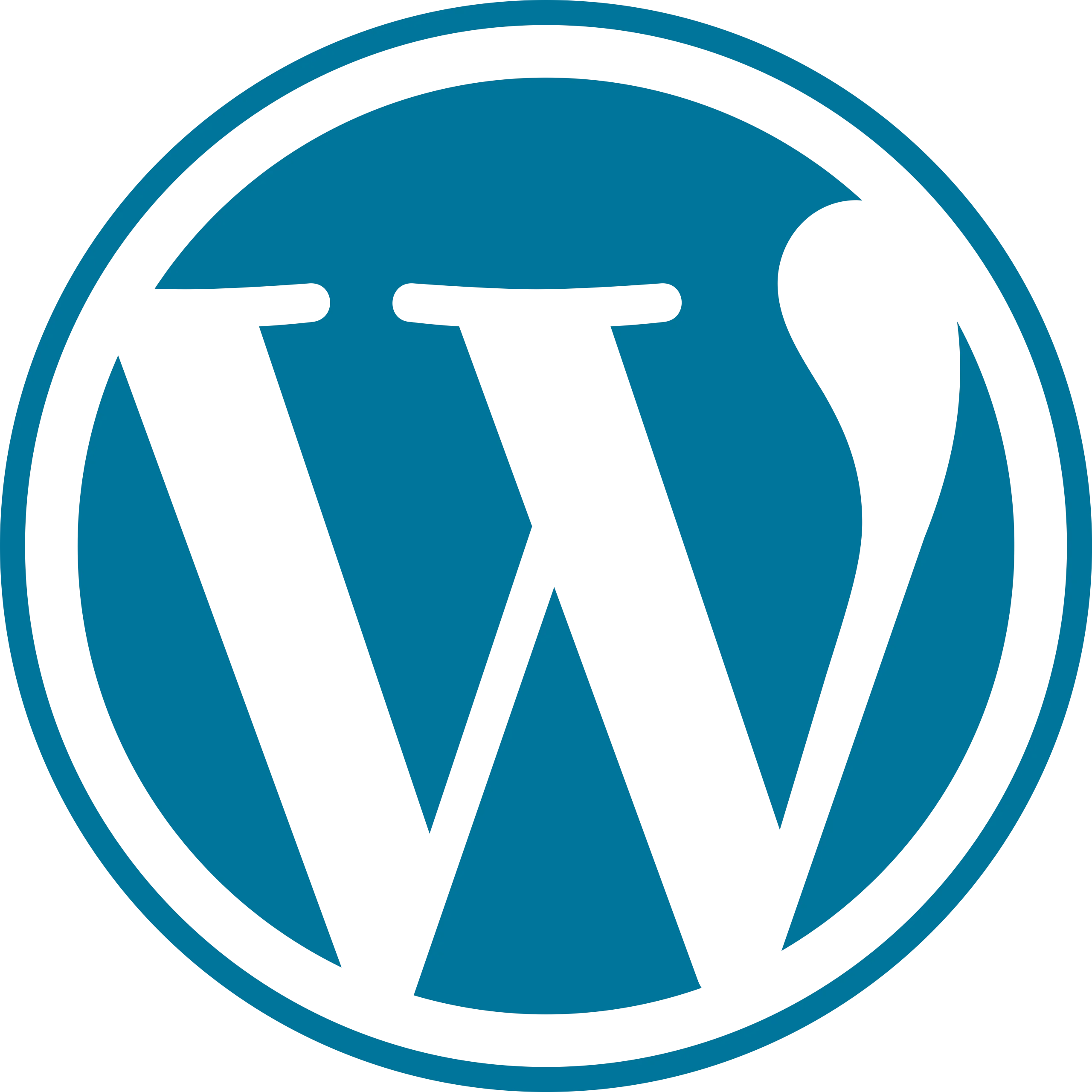 Custom WordPress theme development