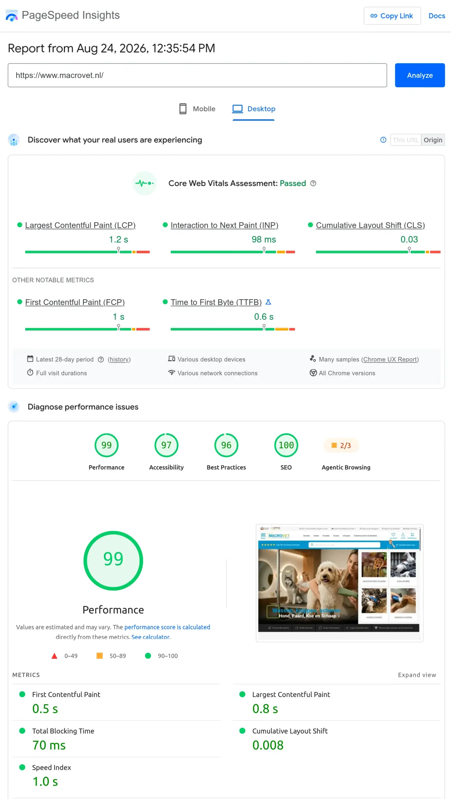 Macrovet Core Web Vitals report showing 90 plus Lighthouse scores after the Shopware 6 migration